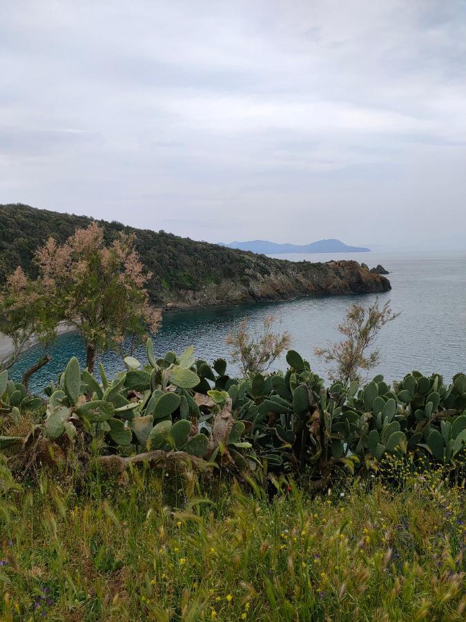 Domus Tilla Piombino Exterior photo